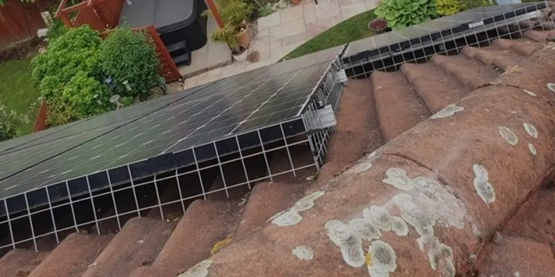 Pigeon Proofing Solar Panels in Reading